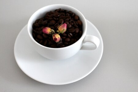Coffee coffee cup cappuccino photo