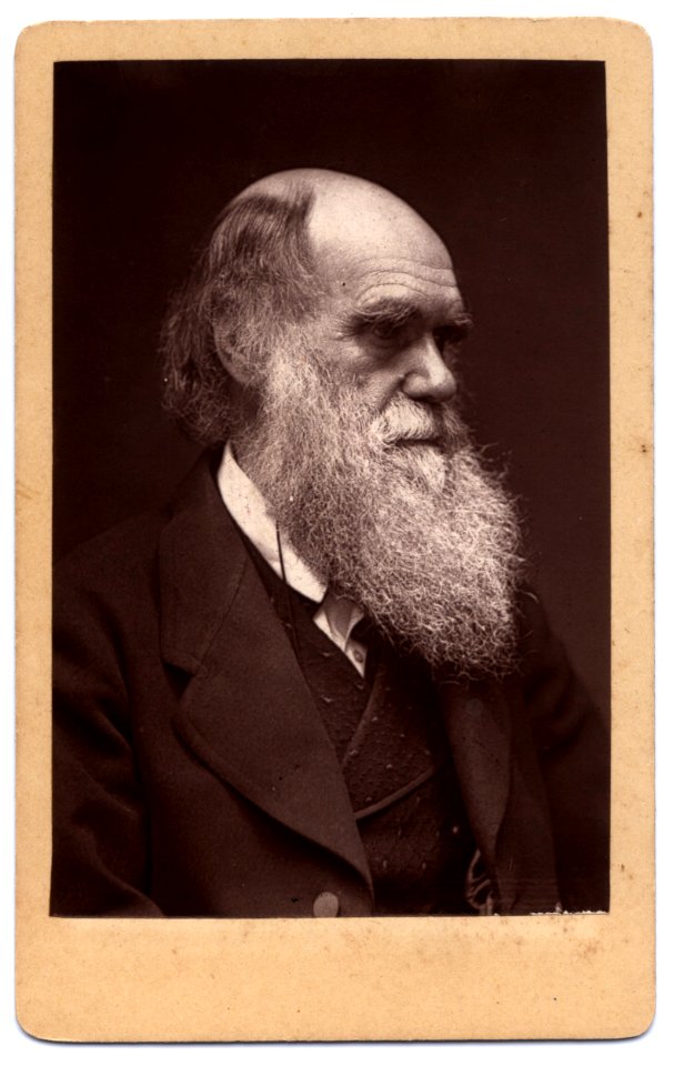 Darwin - John G Murdoch Portrait