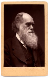 Darwin - John G Murdoch Portrait