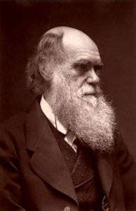 Darwin - John G Murdoch Portrait restored