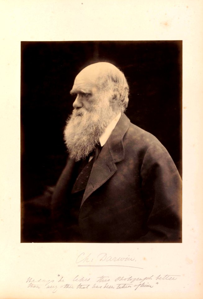 Darwin by Julia Margaret Cameron