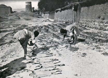 Das Färben der Rauchwaren, Hans Werner, 1914 (S. 130) Das Bestreuen der trocknenden Persianerfelle mit Salz und Reismehl