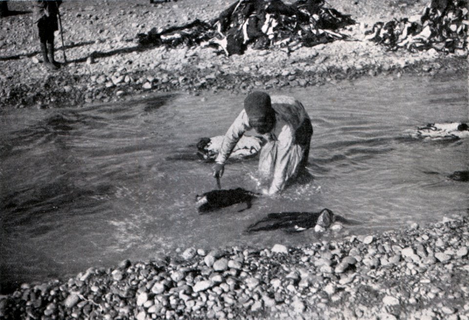 Das Färben der Rauchwaren, Hans Werner, 1914 (S. 125) Das erste Waschen der Persianerfelle und reinigen von Fleischteilen und Blut