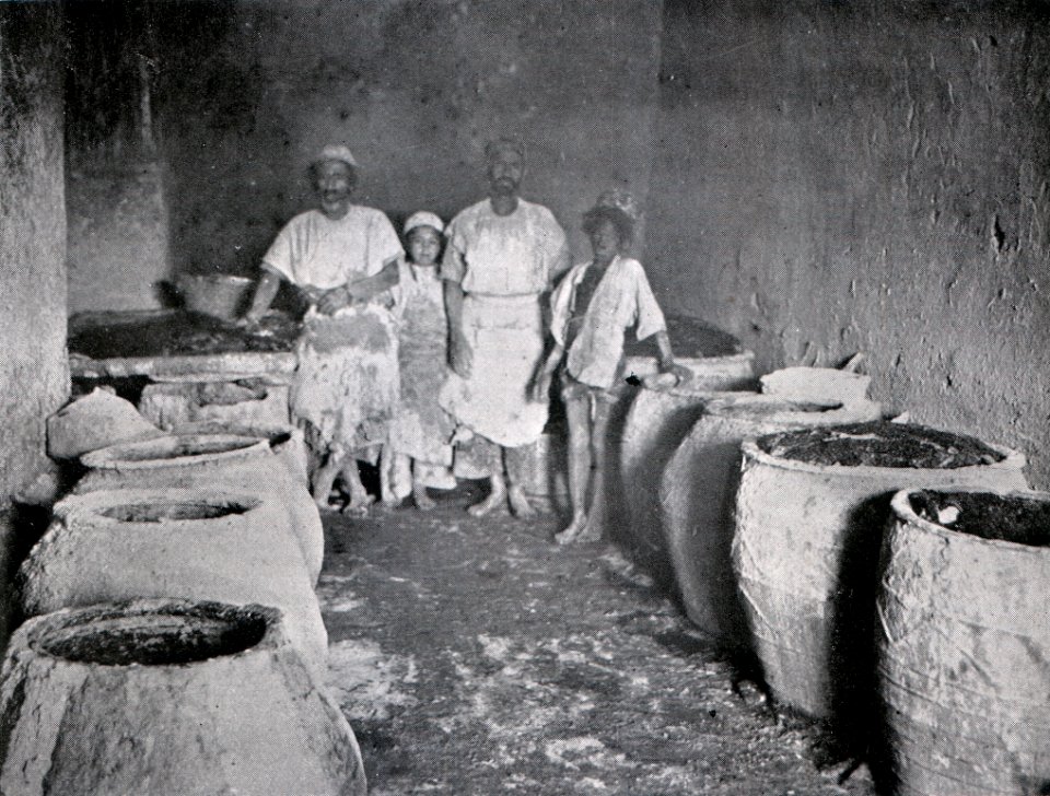 Das Färben der Rauchwaren, Hans Werner, 1914 (S. 133) Beizhaus und Beizmanschaften im Paradekleide (Persianerfelle)