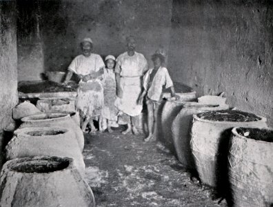 Das Färben der Rauchwaren, Hans Werner, 1914 (S. 133) Beizhaus und Beizmanschaften im Paradekleide (Persianerfelle)