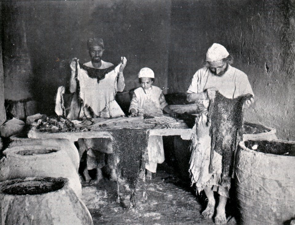 Das Färben der Rauchwaren, Hans Werner, 1914 (S. 134) Das Kneten am Walktisch, das Umlegen und die Nagelprobe (Persianerfelle)