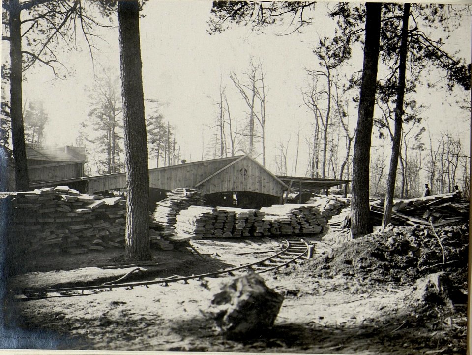 Das für Stallungsbau erzeugte Bretter und Pfostenmaterial wird mittels Feldbahn in die Stellung geführt, aufgenommen im März 1916 (BildID 15541827)