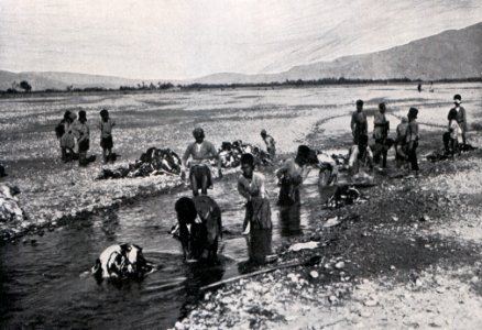 Das Färben der Rauchwaren, Hans Werner, 1914 (S. 127) Die gereinigten Persianerfelle werden im fliessenden Wasser in Posten gestapelt