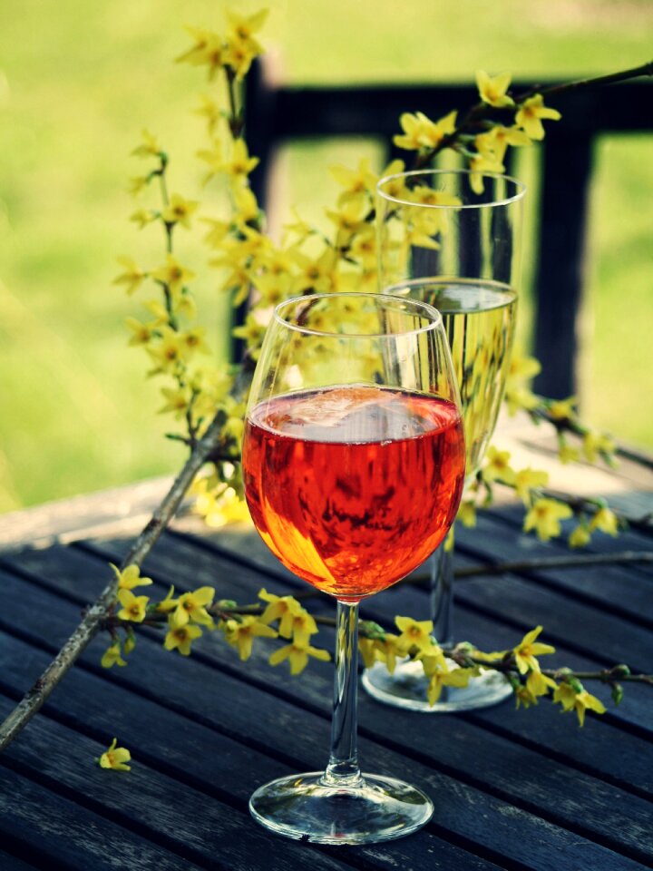 Wine drink glass