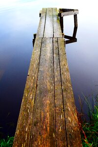 Nature boardwalk mood