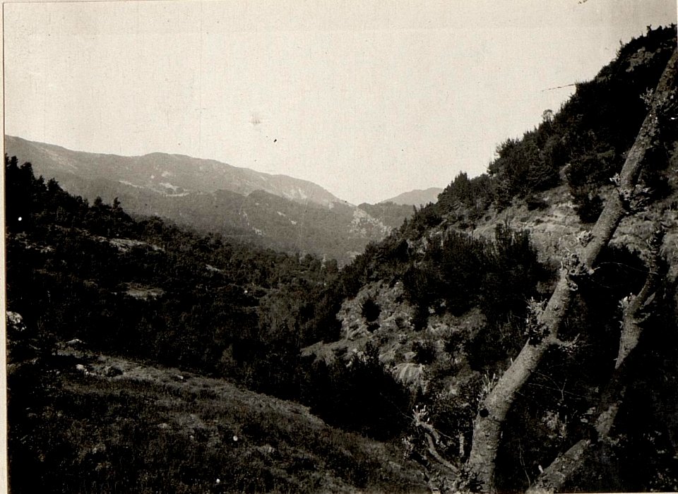 Das obere Murdartal westl.Han Krabe. (BildID 15531877)