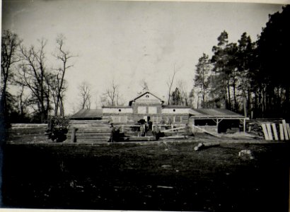 Das Sägewerk des 9. Korpskommandos bei Worotniewo in seinem späteren Entwicklungsstadium im März 1916 (BildID 15541820)