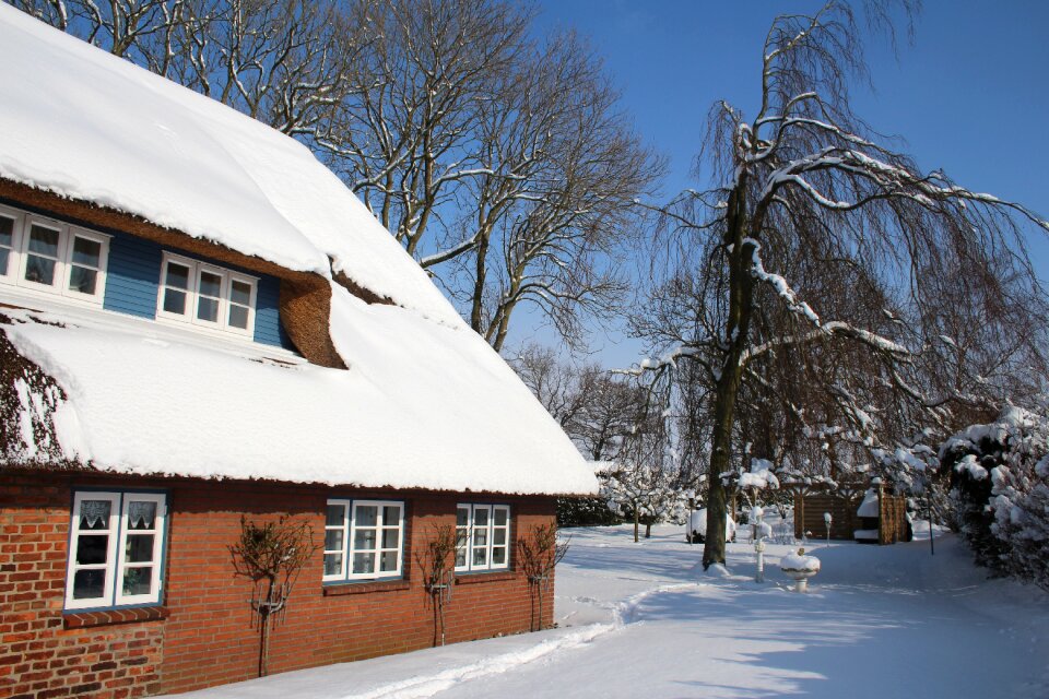 Winter cold winter magic