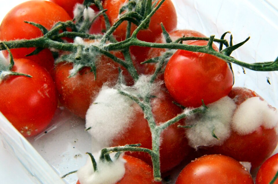 Vegetables fruit deteriorated