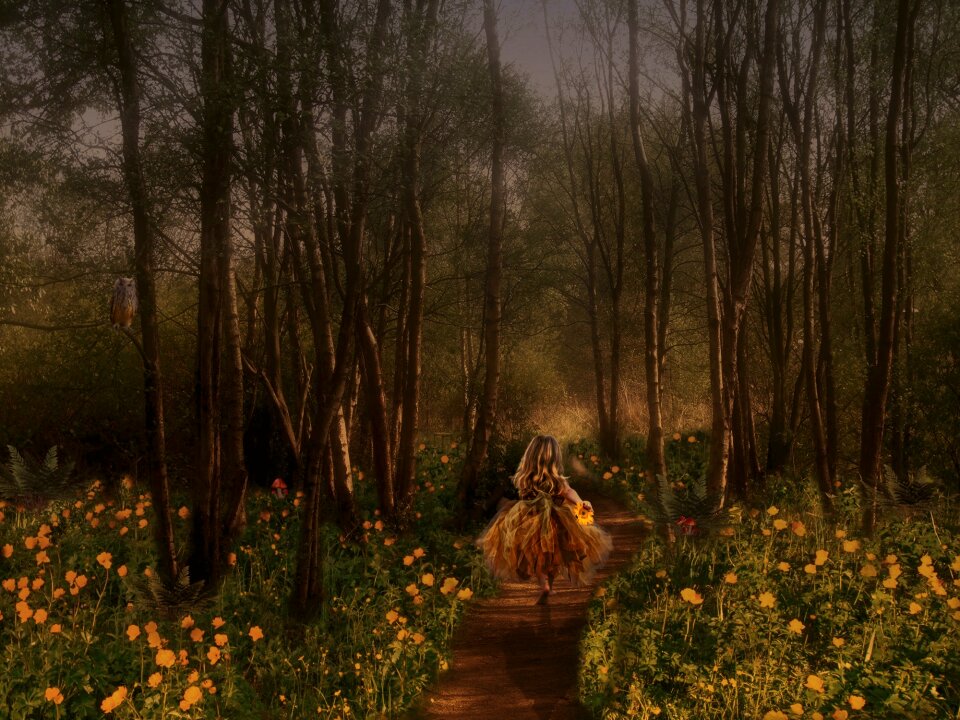 Green yellow meadow
