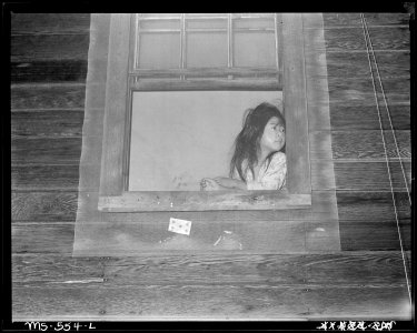 Daughter of Japanese miner who lives in company housing project. Hudson Coal Company, Hudson Mine, Sweet Mine, Carbon... - NARA - 540484