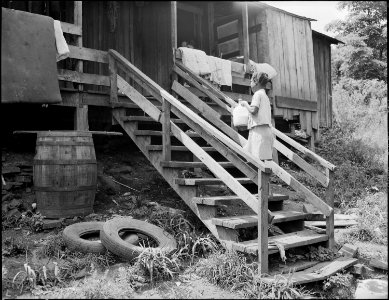 Daughter of Lawson Mayo bringing up milk which the family buys from a neighboring miner. Cows are untested, milk is... - NARA - 540974