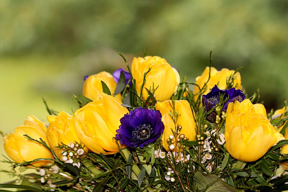 Spring bouquet yellow blue