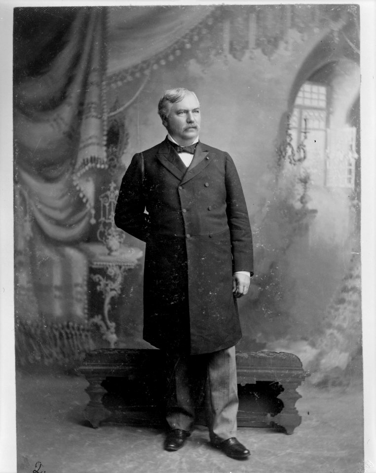David B. Henderson, full-length portrait, standing with one arm behind back LCCN2011645228