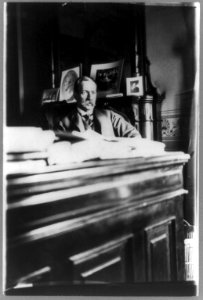 David Jayne Hill, 1st Assistant, State Department, half-length portrait, seated at desk, facing right LCCN89715780