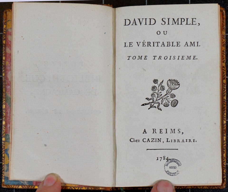 David Simple T3 1005164
