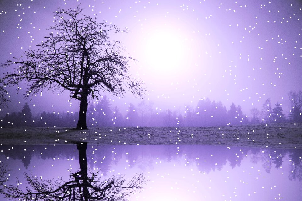 Wintry cold snow landscape