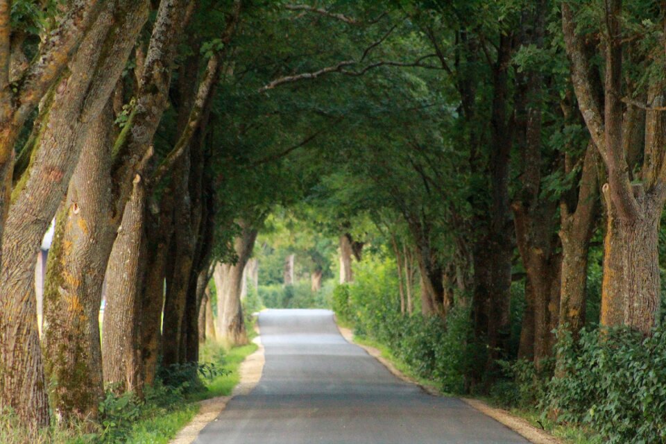 De nature mood