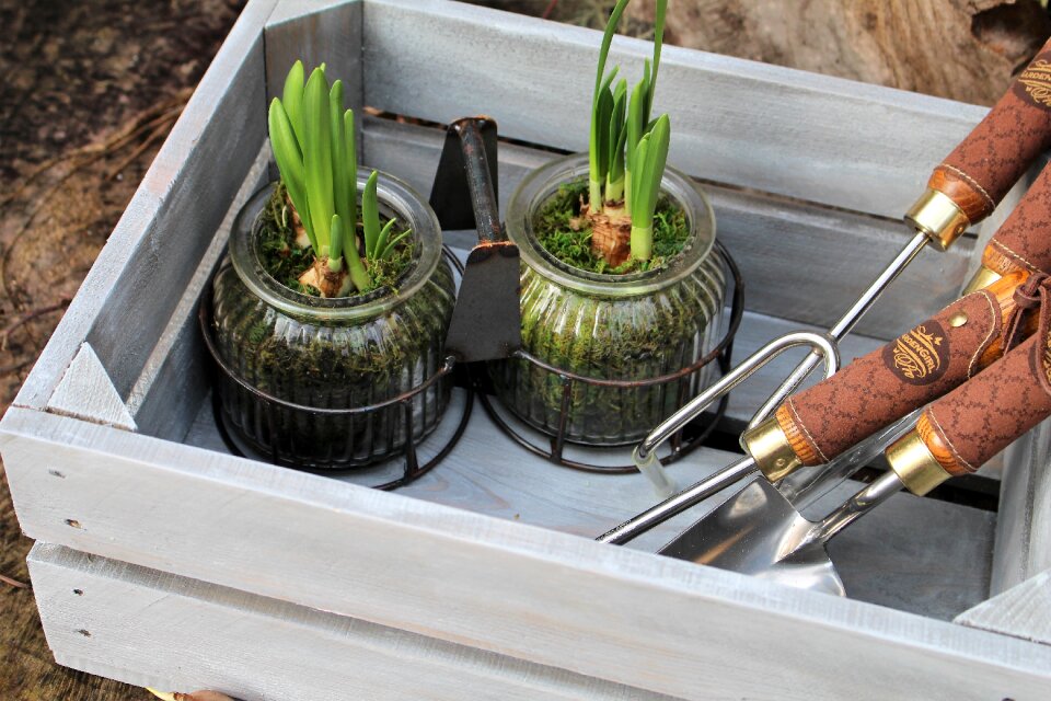 Home garden arrangement box