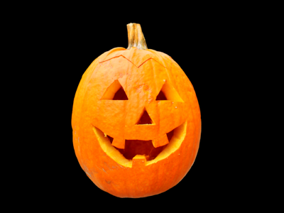 Autumn cucurbita maxima choose