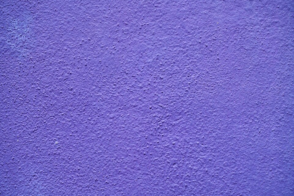 Wall painted plaster