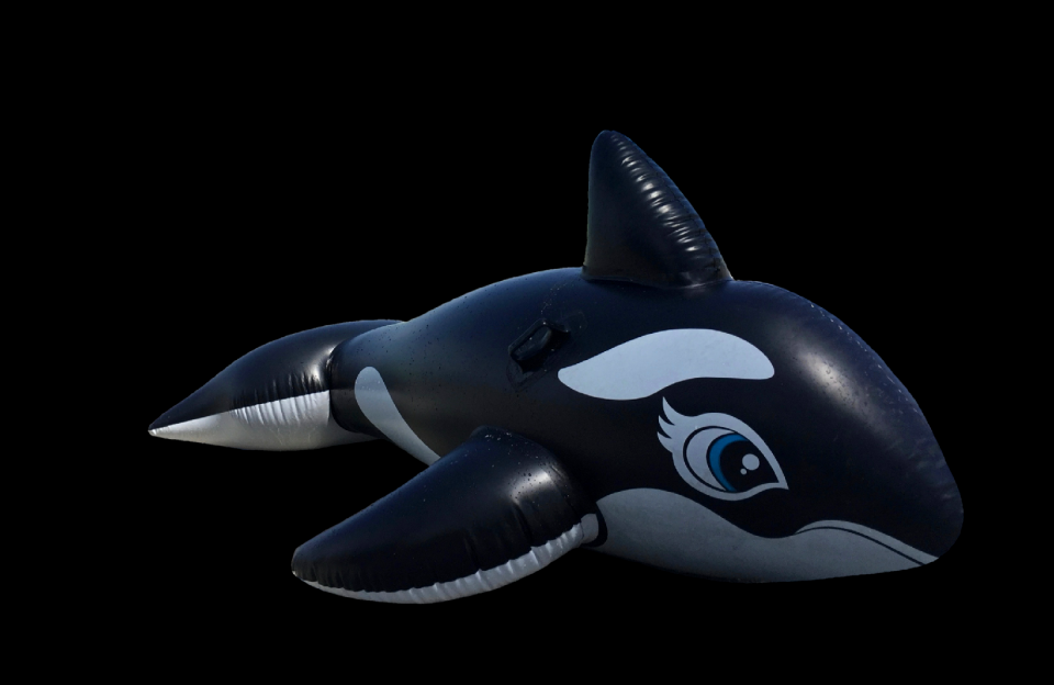 Marine mammals float toys