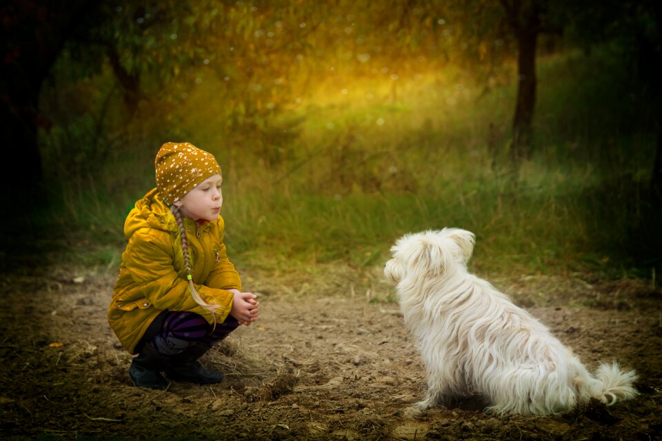 Friends kindness animals