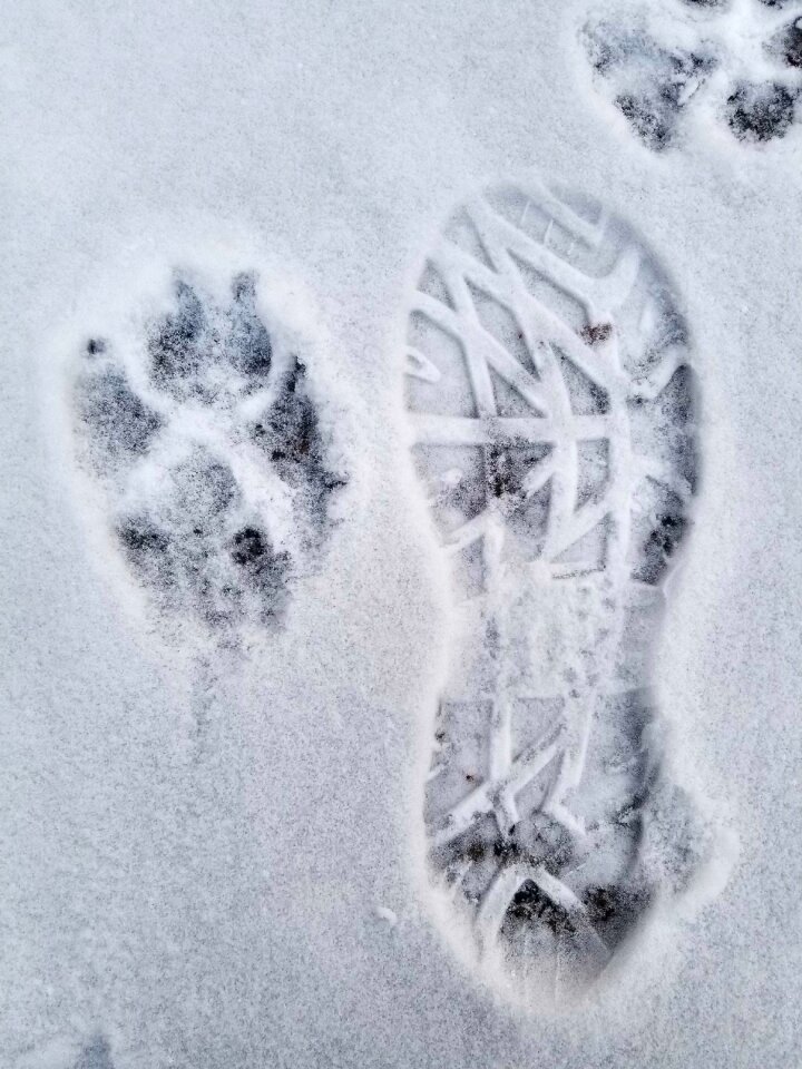 Frost footprint desktop