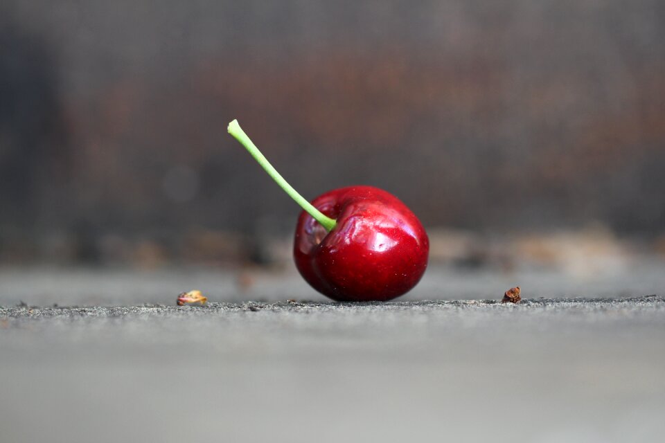 Cherry melancholic loneliness