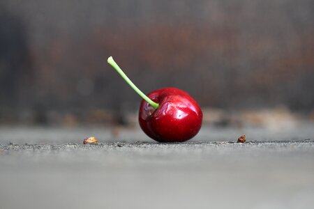 Cherry melancholic loneliness