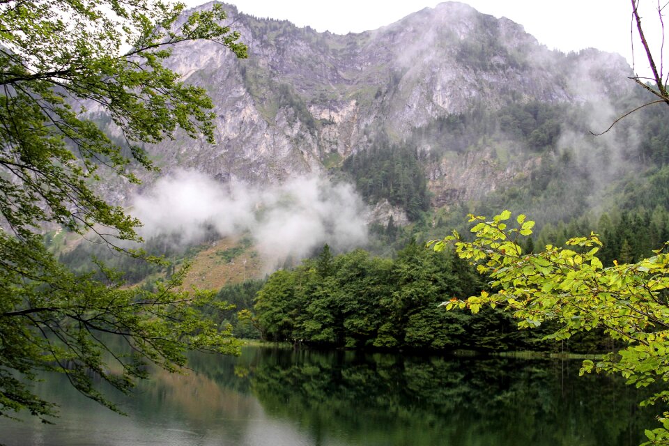 Nature rain green photo