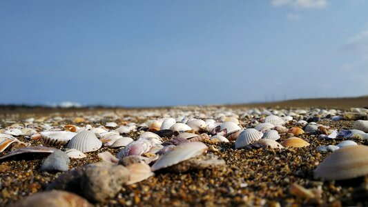 Sea beach coast