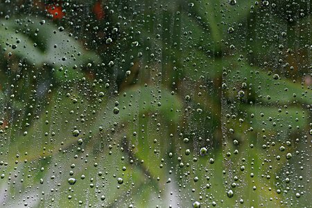 Window droplets liquid