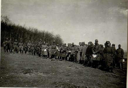 Die Generäle Böhm-Ermolli, Ernst Kletter, Kommandant des 9.Korps und der Chef der Generalstabsabteilung Oberst von Ruzicic besichtigen die Übung der Sturmtruppen in Uszkowice (BildID 15543845)