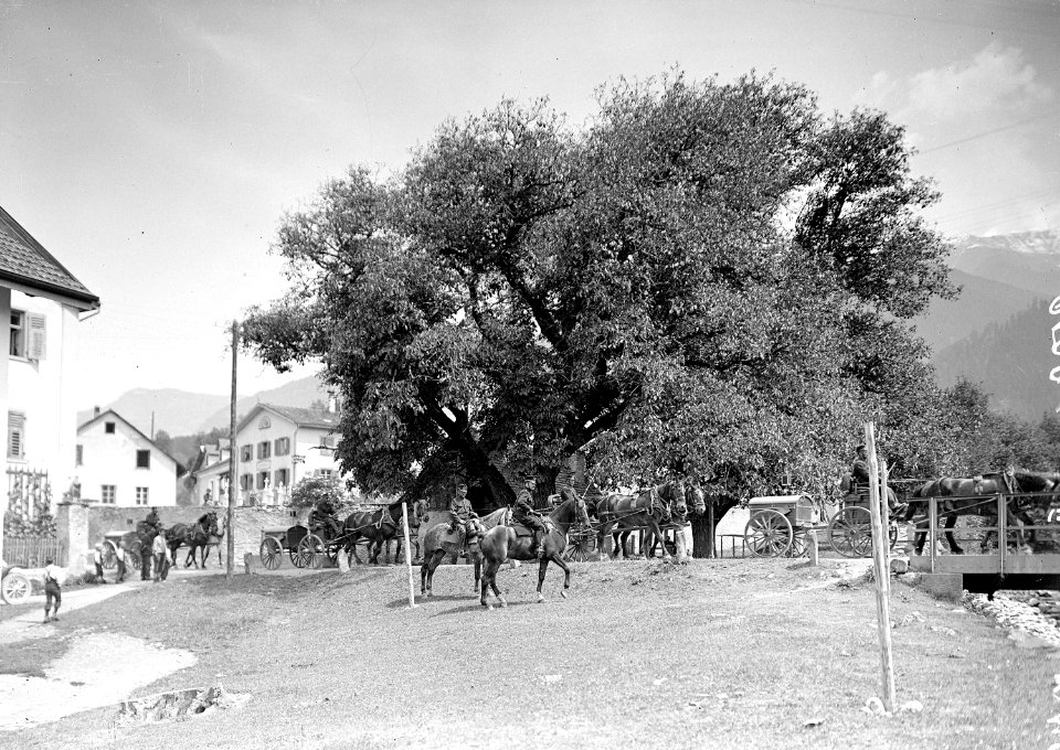 Die Gebirgs Park Kompanie 34 auf dem Marsch - CH-BAR - 3238805