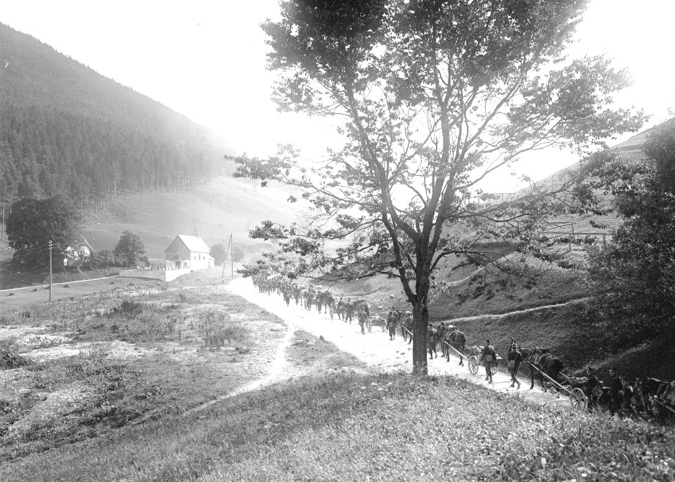 Die Gespanne der Infanterie Mitrailleure auf dem Marsch - CH-BAR - 3239990