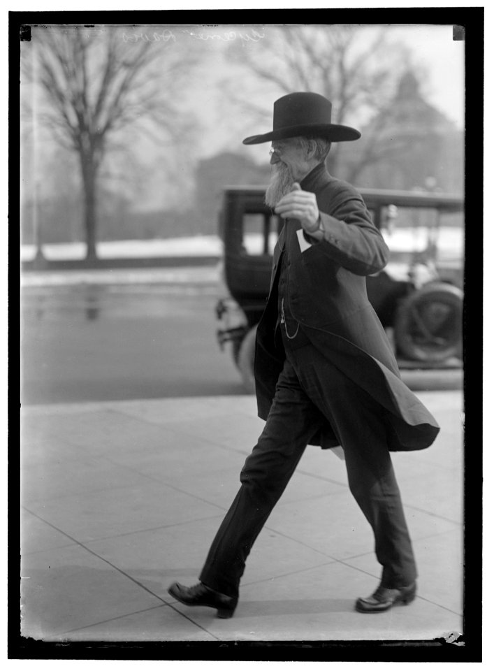 DAVIS, JAMES HARVEY 'CYCLONE DAVIS.' REP. FROM TEXAS, 1915-1917. WEARING FIRST COLLAR LCCN2016866704