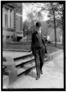 DAVIS, JOHN WILLIAM. REP. FROM WEST VIRGINIA, 1911-1913; SOLICITOR GENERAL OF THE U.S., 1913-1918; AMBASSADOR TO GREAT BRITAIN, 1918-1921; DEMOCRATIC NOMINEE FOR PRESIDENT OF THE U.S., 1924 LCCN2016866311