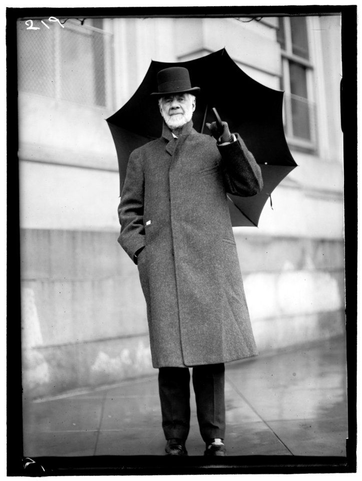 DAVIS, HENRY GASSAWAY. SENATOR FORM WEST VIRGINIA, 1871-1883; CHAIRMAN, PAN AMERICAN RAILWAY COMMISSION, 1901-1916 LCCN2016863239