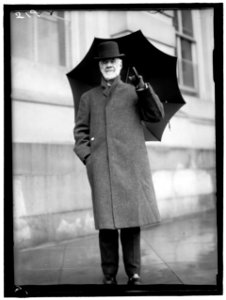 DAVIS, HENRY GASSAWAY. SENATOR FORM WEST VIRGINIA, 1871-1883; CHAIRMAN, PAN AMERICAN RAILWAY COMMISSION, 1901-1916 LCCN2016863239