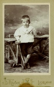 Davorin Rovšek - portret 13