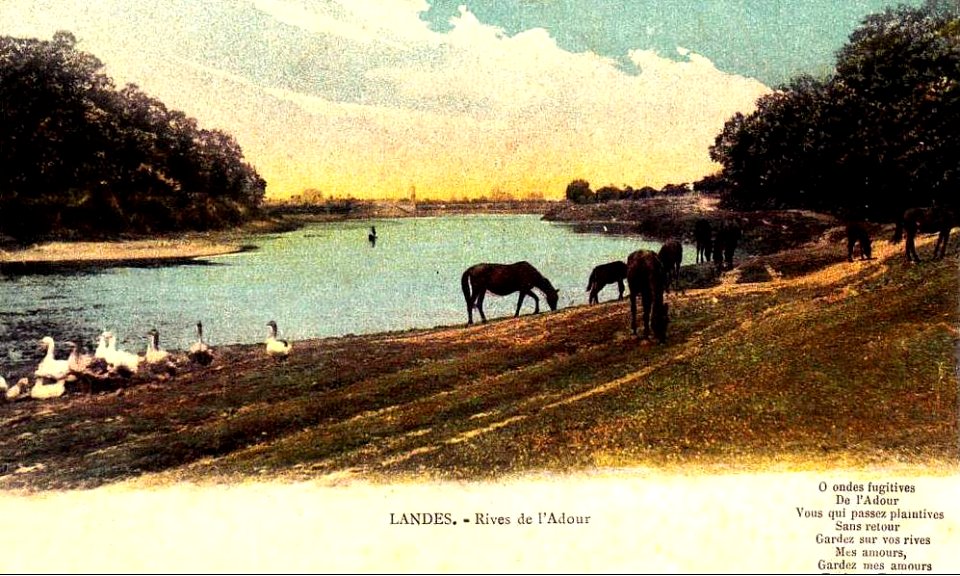 Dax (Landes) - Adour 3