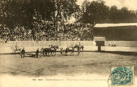Dax (Landes) - Arènes - Corrida - Sortie 1