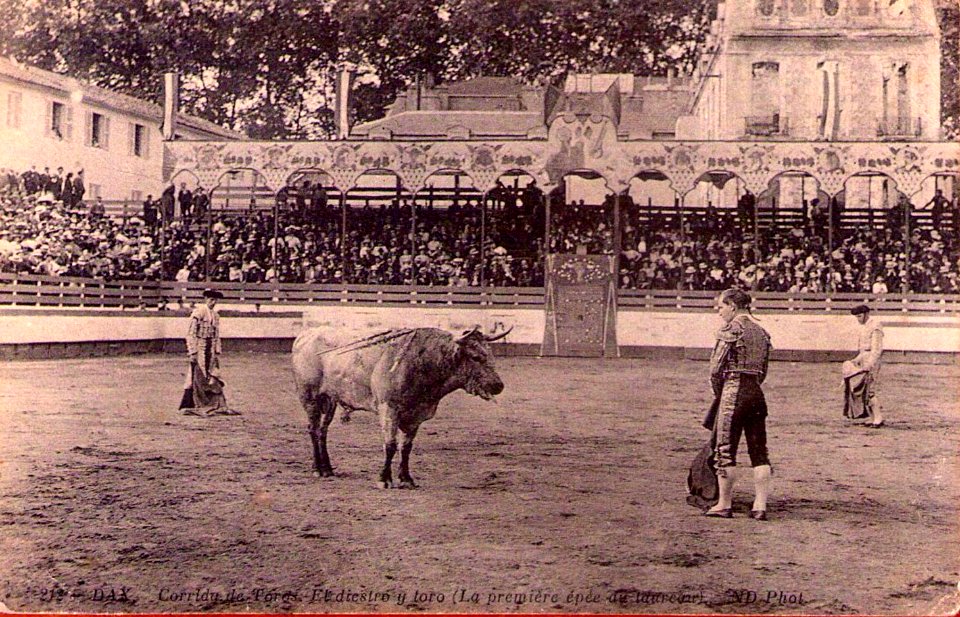 Dax (Landes) - Corrida - matador 5