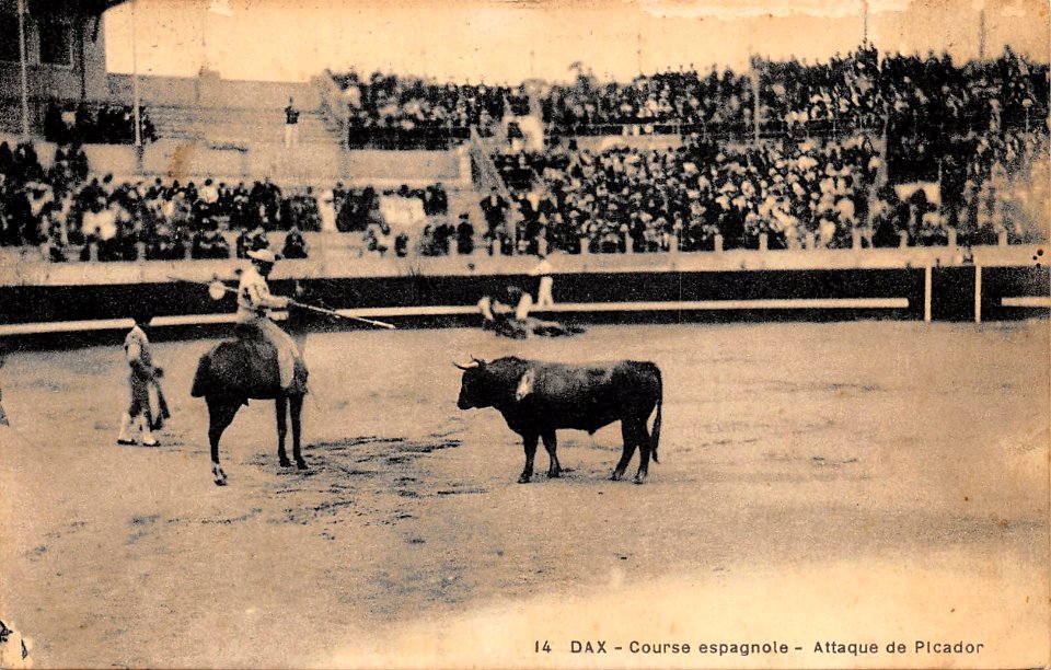 Dax (Landes) - Corrida - picador 2
